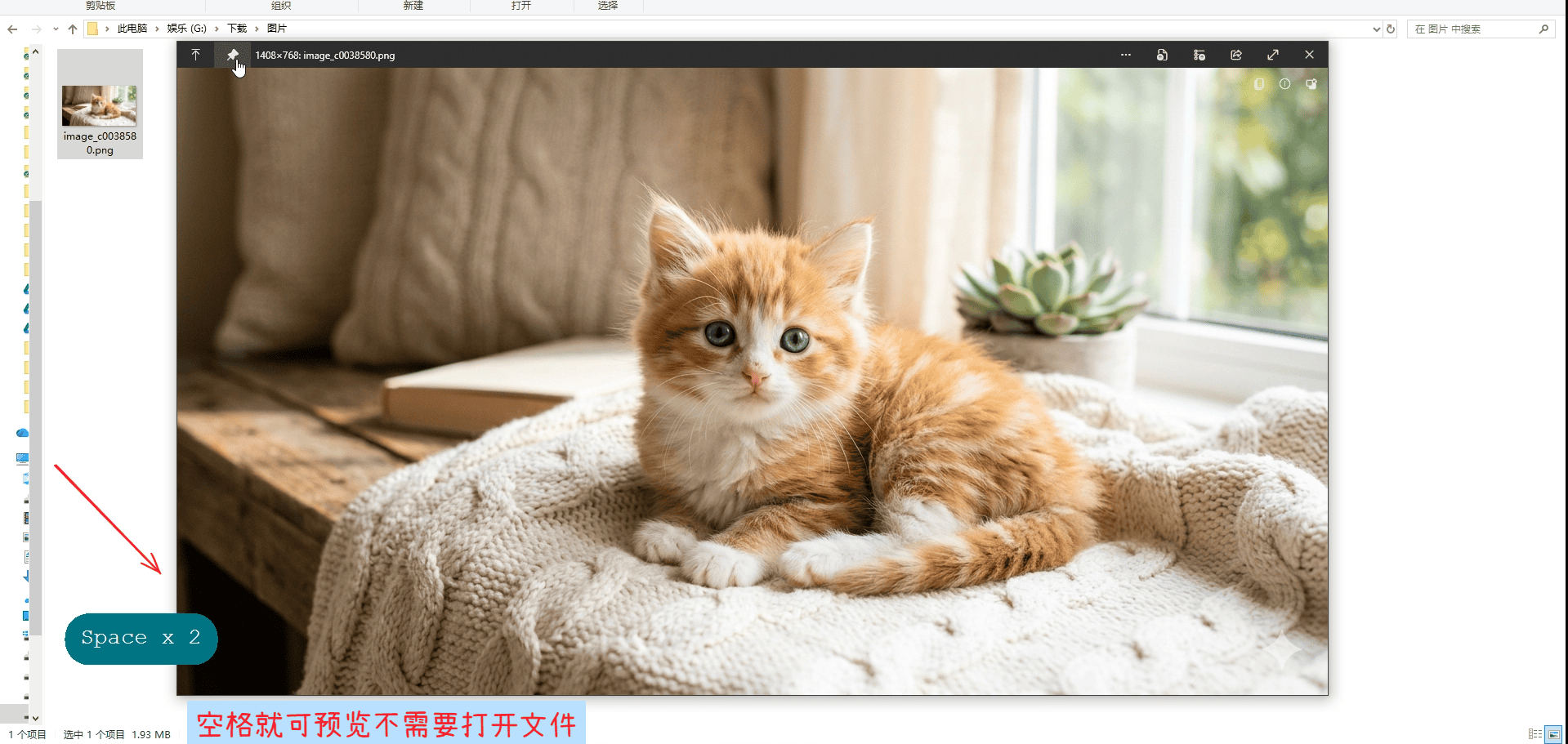 支持多种格式